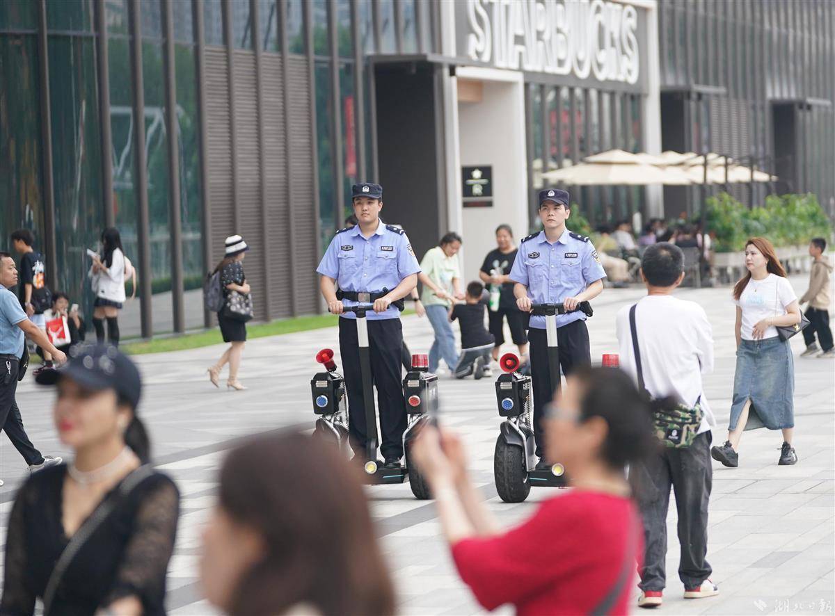 摇钱树网站687788